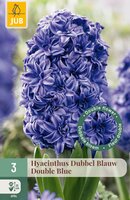 Hyacinthus Dubbel Blauw, 3 stuks