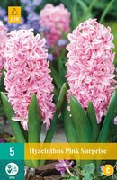 Hyacinthus pink surprise 5 stuks