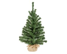 Imperial mini boom binnen, groen, Ø 35 cm x H 60 cm