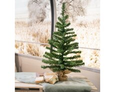 Imperial mini boom binnen, groen, Ø 46 cm x H 90 cm - afbeelding 2