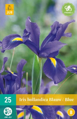 Iris hollandica blauw 25 stuks
