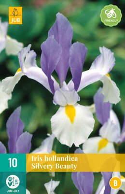Iris hollandica silvery beauty 10 stuks