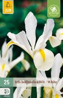 Iris hollandica Wit, 25 stuks
