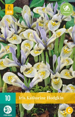 Iris katharine hodgkin 10 stuks