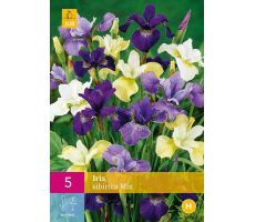 Iris sibirica mix 5st