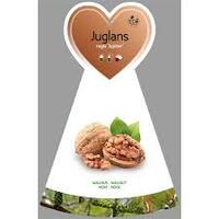 Juglans regia, Walnoot 100cm - afbeelding 2