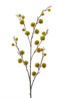Kastanjetak, 105 cm, groen