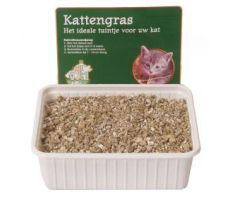 Kattegras - afbeelding 1