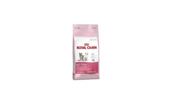 Kattenvoer, Royal Canin, kitten 36, 2 kg