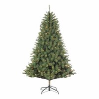 Kunstkerstboom, black box Carmanah kerstboom led groen 200L TIPS 550 en timer & dimmer - h155xd97cm