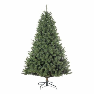 Kunstkerstboom, black box Carmanah kerstboom groen TIPS 550 - h155xd97cm