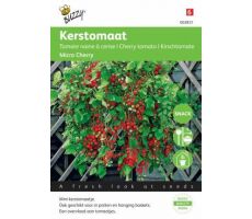 Kerstomaat micro cherry 10zdn