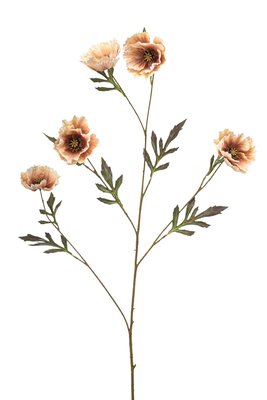Klaproossteel, 113 cm, beige