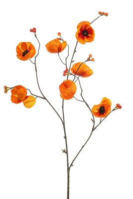 Klaproossteel, 85 cm, oranje