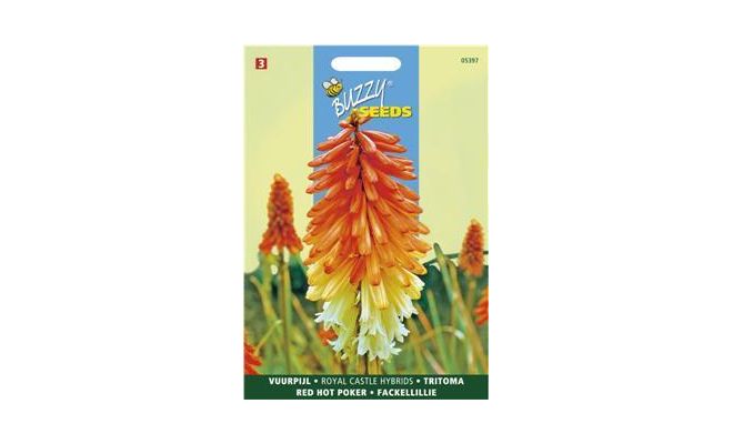 Kniphofia royal castle hybr. 0.75g - afbeelding 1