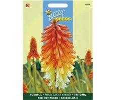 Kniphofia royal castle hybr. 0.75g - afbeelding 1