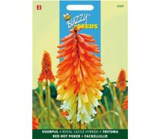 Kniphofia royal castle hybr. 0.75g - afbeelding 2