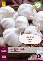 Knoflook casablanca 100gr