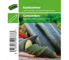 Komkommer - afbeelding 2