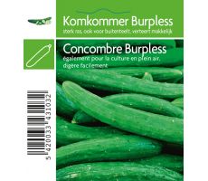 Komkommer Burpless