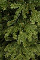 Kunstkerstboom, black box Brampton kerstboom slim groen TIPS 1675 - h215xd125cm - afbeelding 3