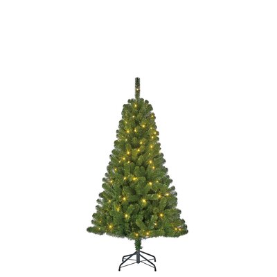 Kunstkerstboom, black box Charlton kerstboom led groen 200L TIPS 340 - h155xd91cm - afbeelding 1