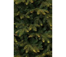 Frasier kerstboom groen, 1880 tips - H185xD124cm - afbeelding 4
