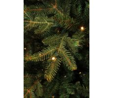 Frasier kerstboom groen met 408 led, 2688 tips - H215xD145cm - afbeelding 3