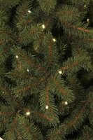Kunstkerstboom, black box Toronto kerstboom led groen 150L TIPS 511 - h155xd102cm - afbeelding 4