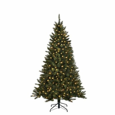 Kunstkerstboom, black box Toronto kerstboom led groen 240L TIPS 1043 - h215xd132cm - afbeelding 1
