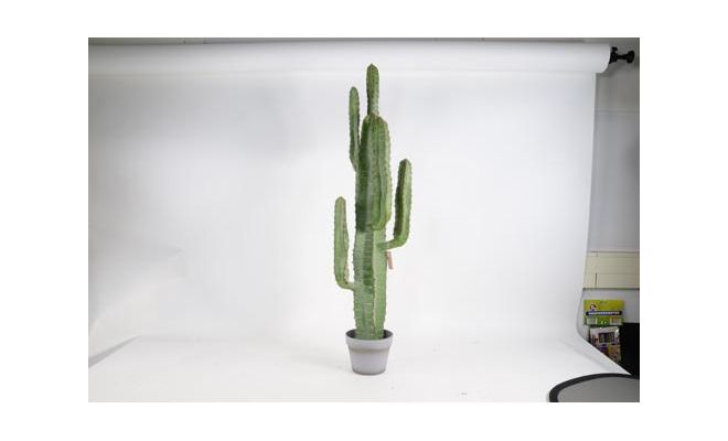 Kunstplant, cactus in pot, h 45 cm