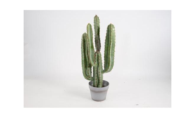 Kunstplant, cactus in pot, h 72 cm