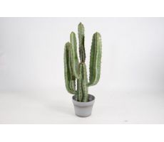 Kunstplant, cactus in pot, h 72 cm