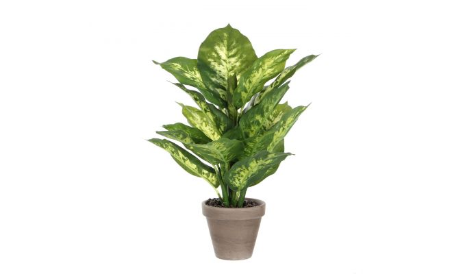 Kunstplant, dieffenbachia in pot, b 30 cm, h 40 cm