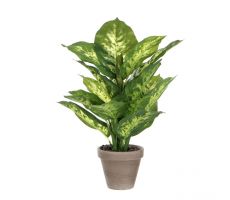 Kunstplant, dieffenbachia in pot, b 30 cm, h 40 cm