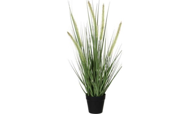 Kunstplant, dogtail gras in pot, h 53 cm