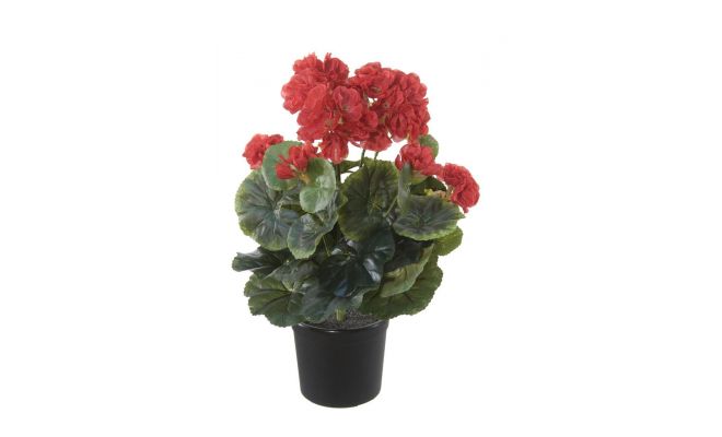 Kunstplant, geranium in pot, rood, h 35 cm