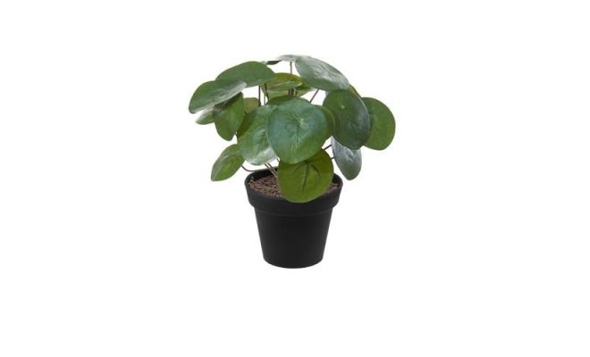 Kunstplant, pannenkoekplant in pot, h 30 cm