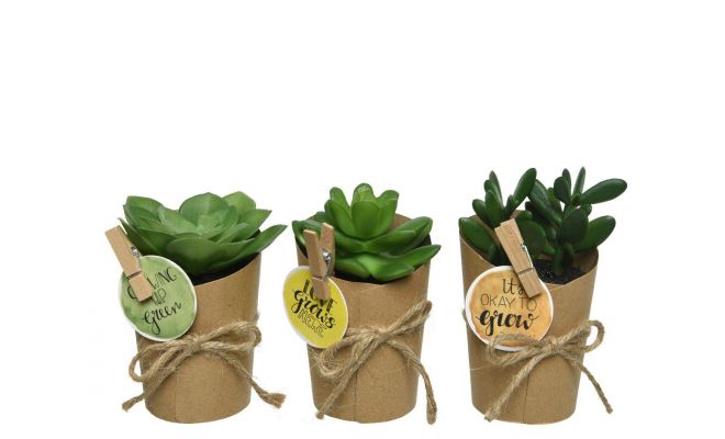 Kunstplant, vetplant in pot, b 8 cm, h 11 cm, meerdere variaties