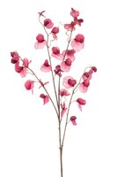 Lathyrussteel x4, 110 cm, fuchsia