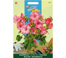 Lavatera trimestris silvercup 1.5g - afbeelding 2