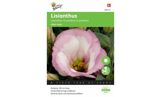 Lisianthus mini rose 25zdn