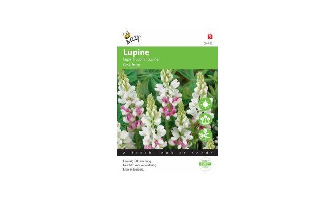 Lupinus rose laag pink fairy 2g