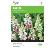 Lupinus rose laag pink fairy 2g