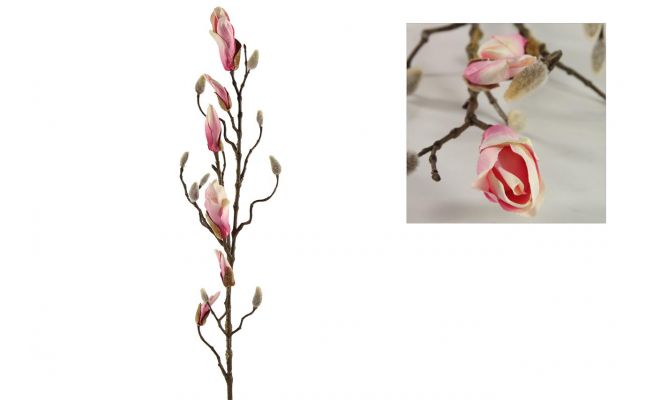 Magnolia knoppen L88cm Roze