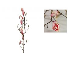 Magnolia knoppen L88cm Roze