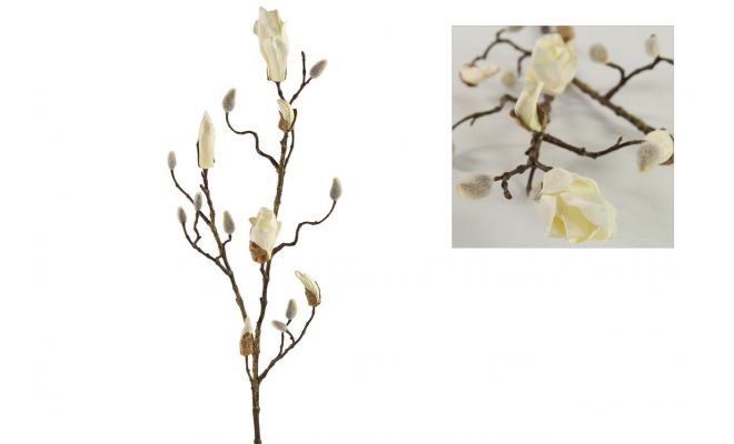 Magnolia knoppen L88cm Wit
