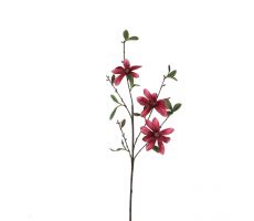 Magnolia, roze, h 73 cm