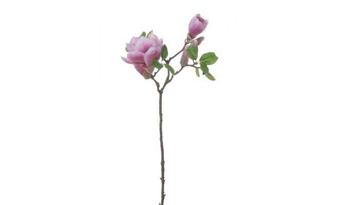 Magnoliasteel l75cm cerise, kunstplant