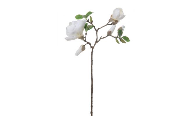 Magnoliasteel l75cm creme, kunstplant